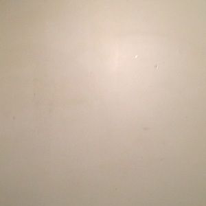 Meet your Posher, Shelly